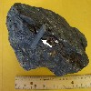 image of Figure 13a